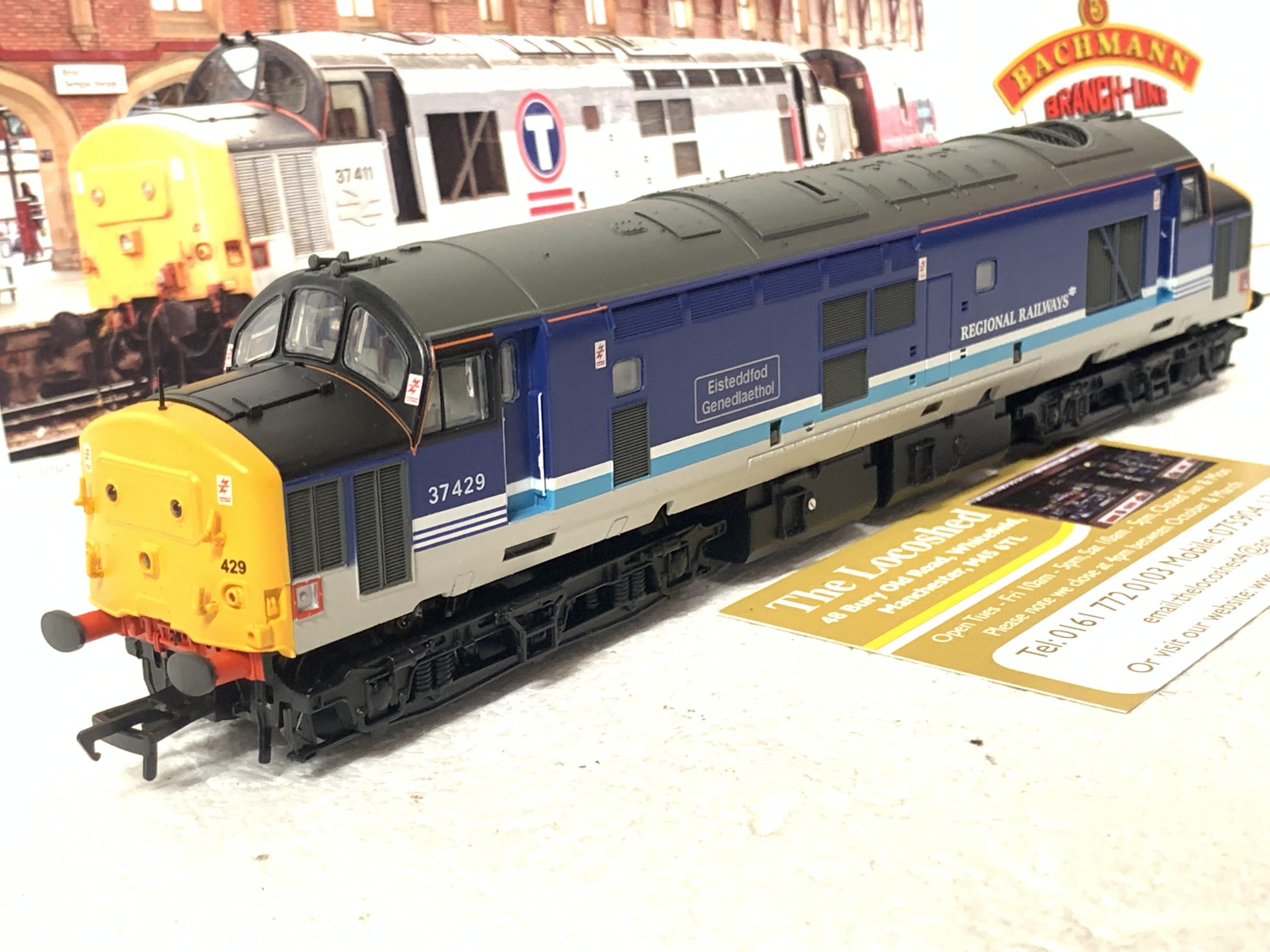 Bachmann 32-376 Class 37/4 Diesel 37429 'Eisteddfod Genedlaethol